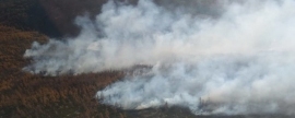 В округе Магаданской области введен режим ЧС из-за лесных пожаров