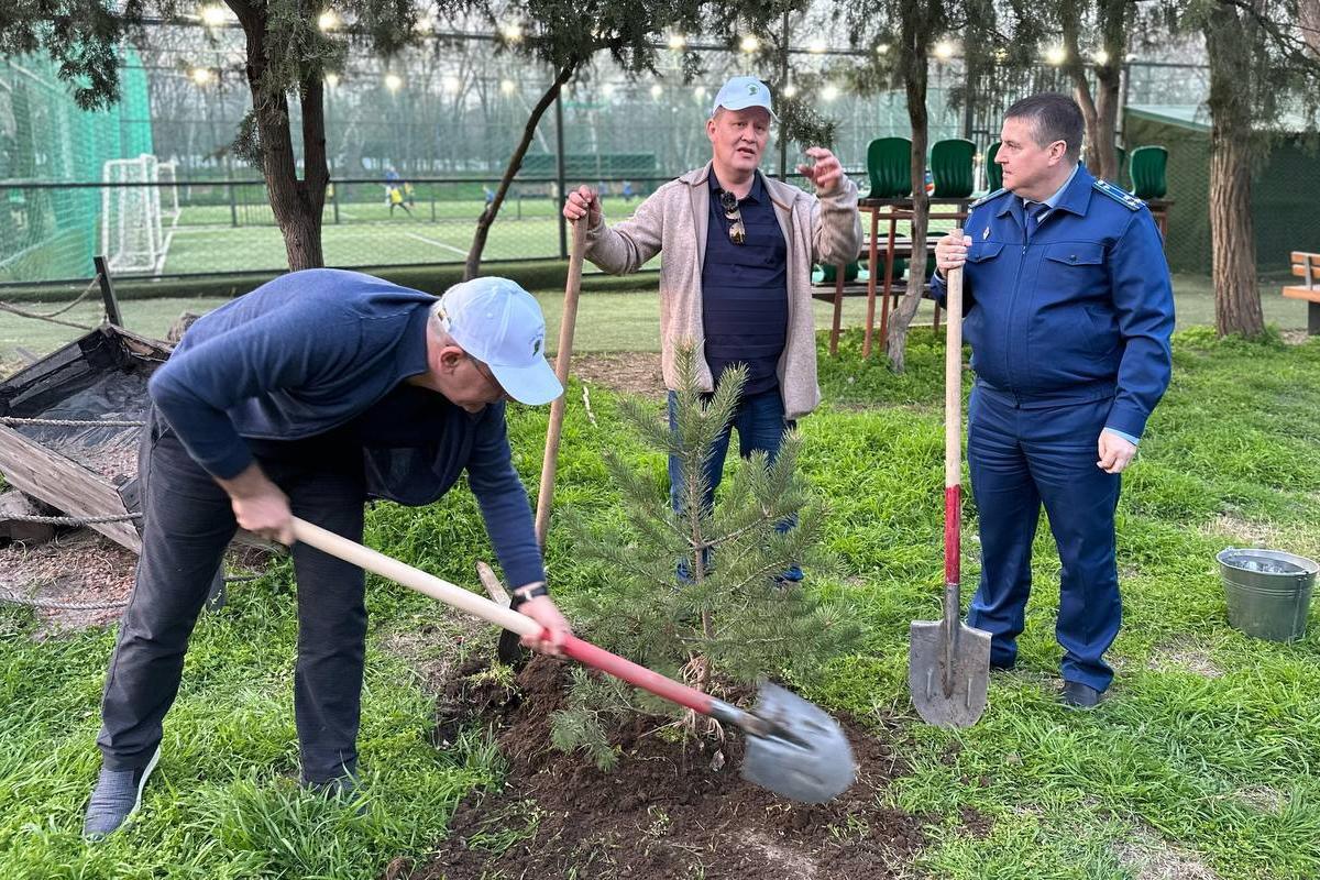 Почти 100 деревьев высадили в Махачкале в парке имени Ленинского комсомола