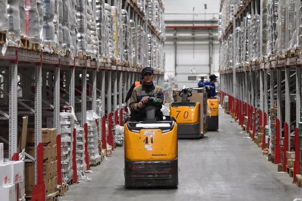 Фонд совладелицы «Фрутоняни» инвестирует в строительство логопарка под Москвой