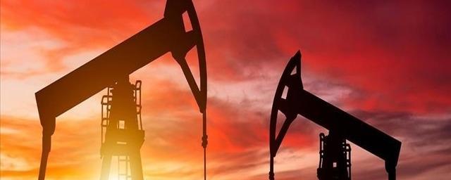 В ЯНАО в 2023 году будет подготовлена программа развития добычи нефти