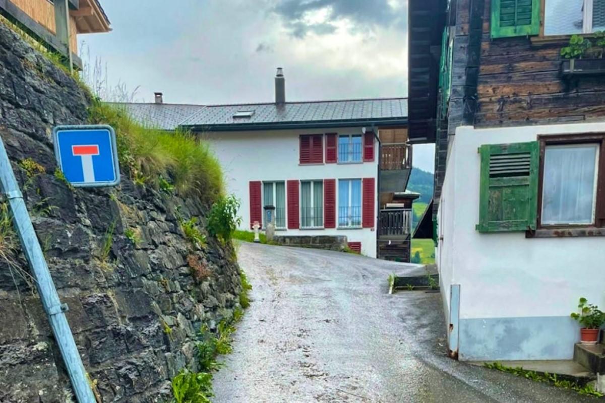 91-летняя женщина погибла под копытами коров в Швейцарии