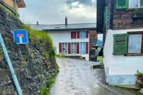 91-летняя женщина погибла под копытами коров в Швейцарии