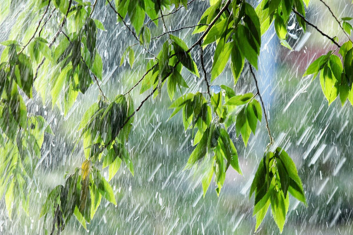 В Калмыкии ожидаются сильные дожди