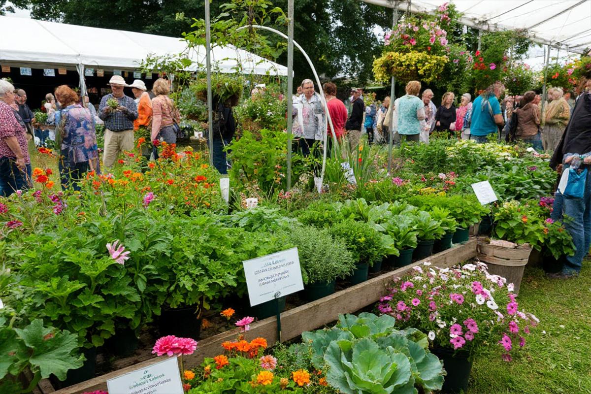 В Новосибирске три недели будут работать дачные ярмарки