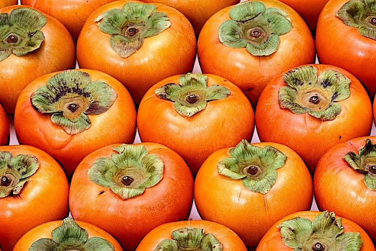 В Новосибирск доставили больше тысячи тонн азиатской хурмы