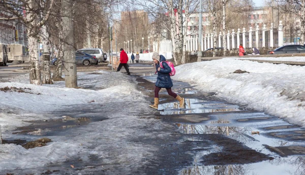 Аномальная погода ожидается в большинстве регионов России в начале марта