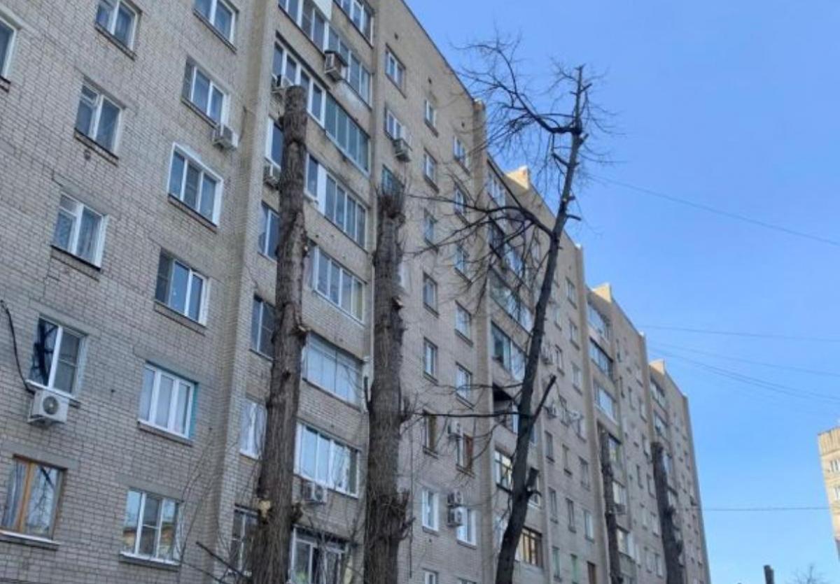 Воронежская управляющая компания ответит за чудовищную обрезку деревьев