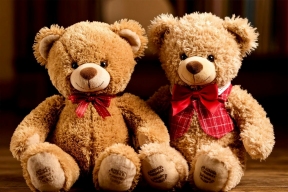 Плюшевый раздор: абаканскую бизнес-леди оштрафовали из-за мишек Тедди