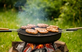 Сальмонелла в «Малаховском» и листерии в «ДмитроГорском»: кому нельзя доверять шашлык