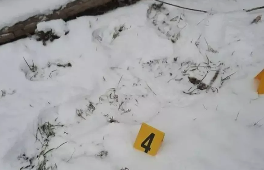 В Ленинградской области насмерть замерзла 23-летняя женщина