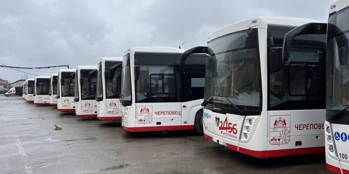 В Череповец привезут рекордную за 30 лет партию автобусов