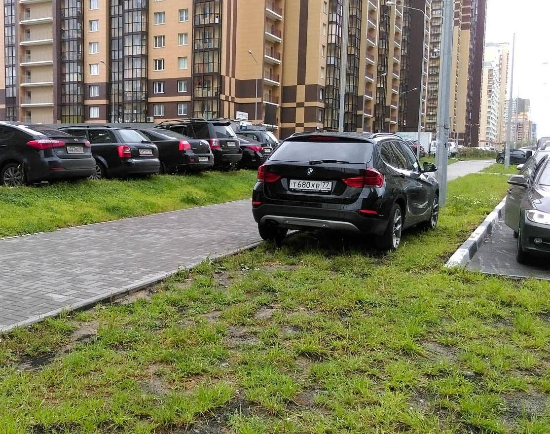 Парковка на зеленой зоне