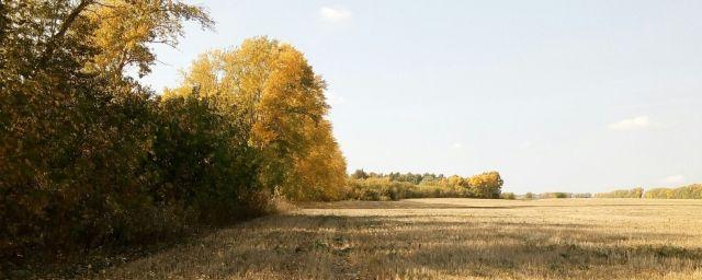 В Татарстане в ноябре ожидается аномально теплая погода