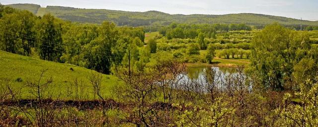 Юдинская долина где находится. Юдинская Долина Красноярск. Юдинская Долина.