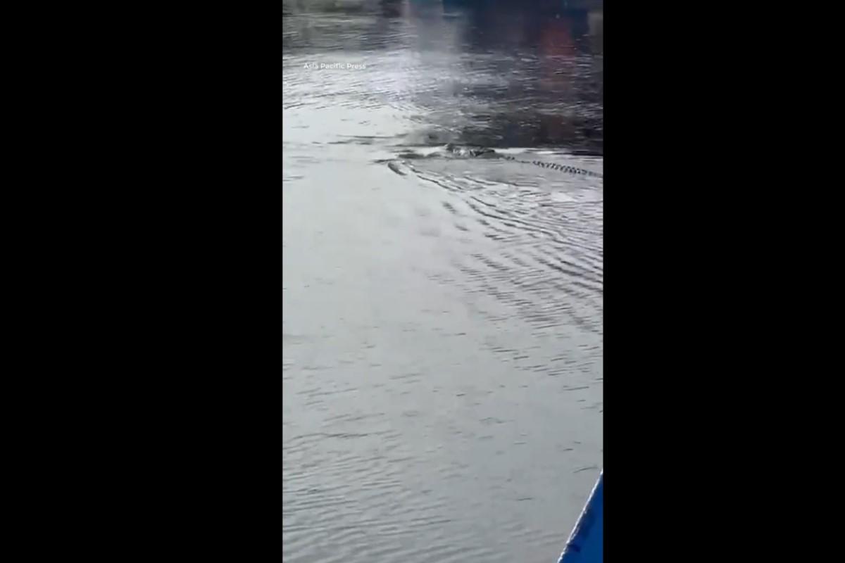 13-летний подросток погиб после нападения крокодила в Индонезии