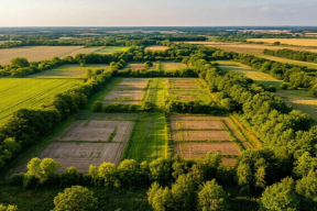 Земельные услуги в Башкирии перейдут в «одно окно» благодаря новой цифровой платформе