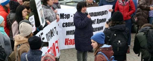 Уволен директор центра по проблемам домашних животных Новосибирска