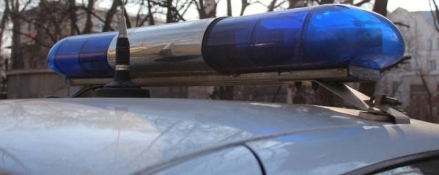 Трое полицейских погибли в аварии с КАМАЗом под Владимиром