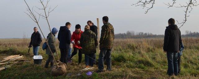 Калининградские активисты создадут придорожную аллею