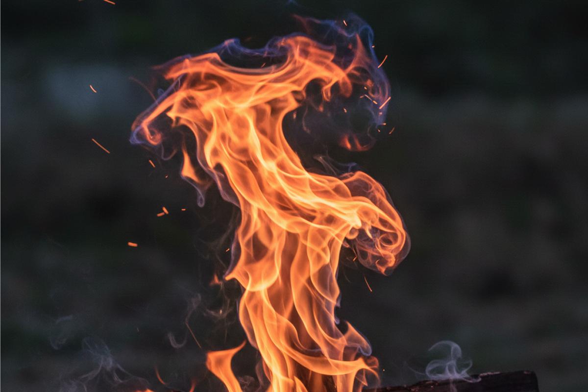 В Калининграде во время пожара огнеборцы спасли кошку, однако погибла женщина