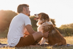 Scientists from Hungary have identified types of dog owners