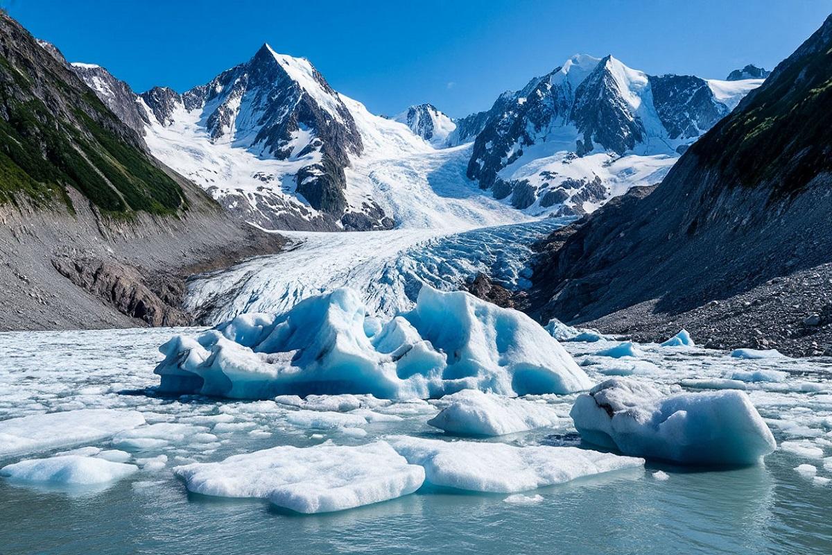 На острове Вильчека обнаружили древнее кладбище китов