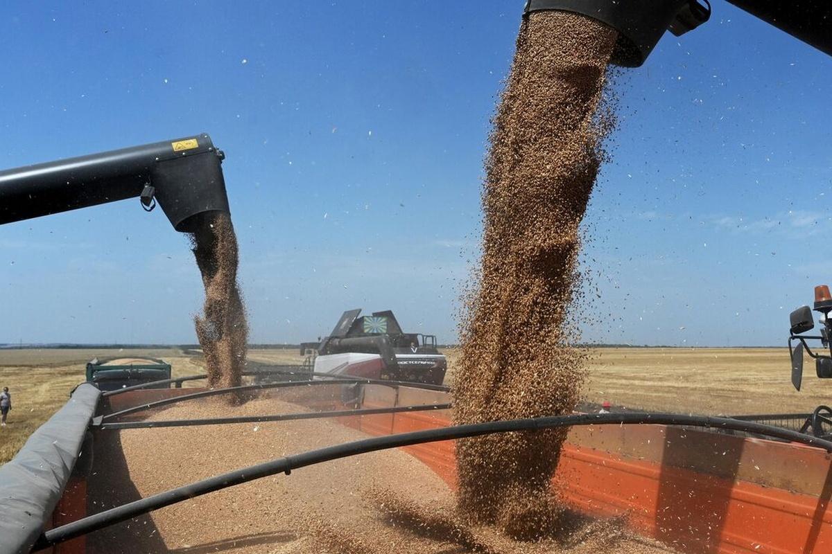 Клычков: Орловская область продолжила наращивать экспорт сельхозпродукции