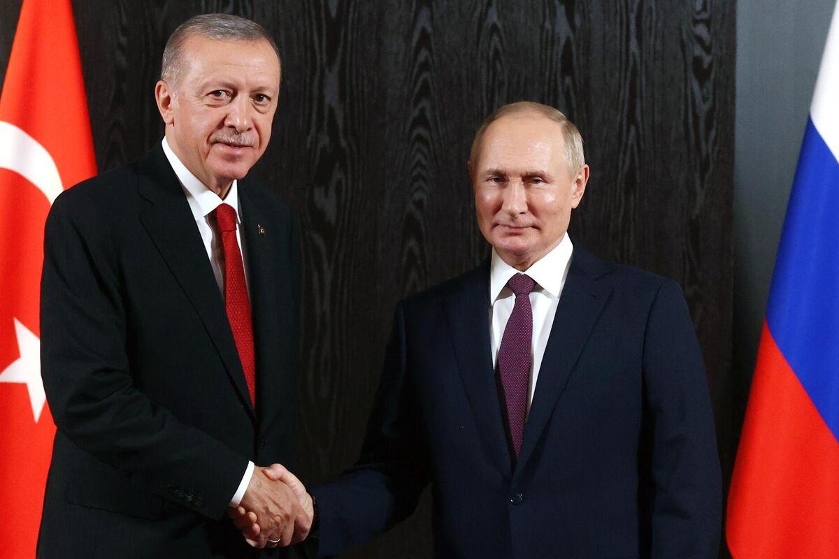 Эрдоган подтвердил намерение Путина посетить Турцию