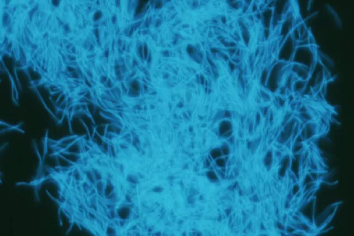 Ученые обнаружили в недрах Земли огромную экосистему