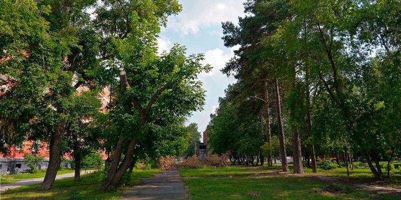 Сквер в Калининском районе Новосибирска назвали в честь покойного депутата Дмитрия Прибаловца