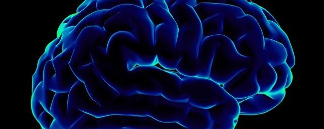 Нейробиологи узнают, как человеческий мозг принимает решения