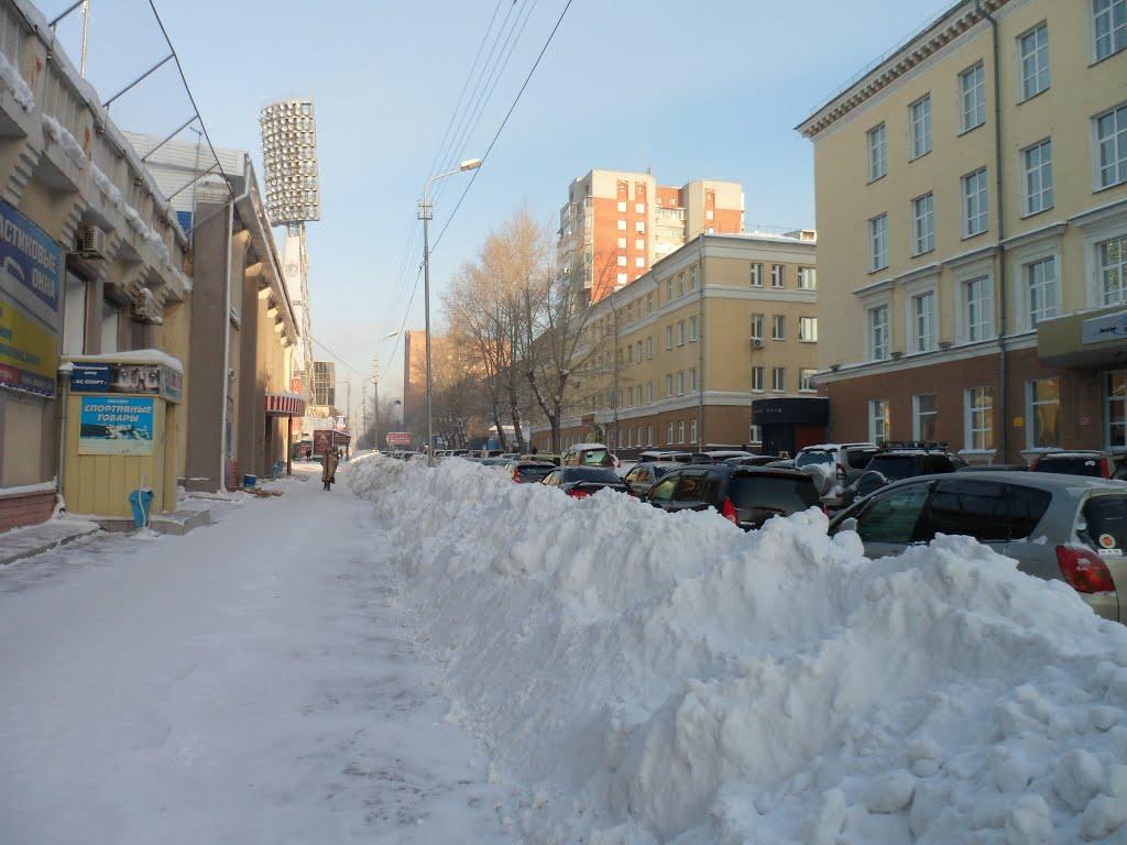 В Новосибирске ожидаются снегопады и сильный ветер