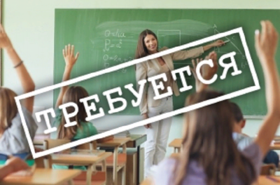 Власти Вологодской области намерены решить проблему острой нехватки учительских кадров