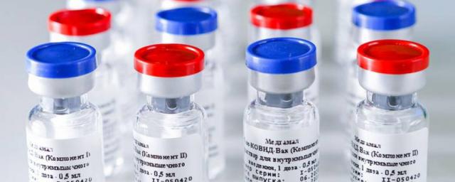 В РФПИ заверили, что не поставляют вакцину «Спутник V» в ДНР и ЛНР
