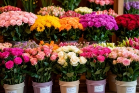 Цены на цветы в России выросли вдвое за пять лет и особенно сильно в Бурятии