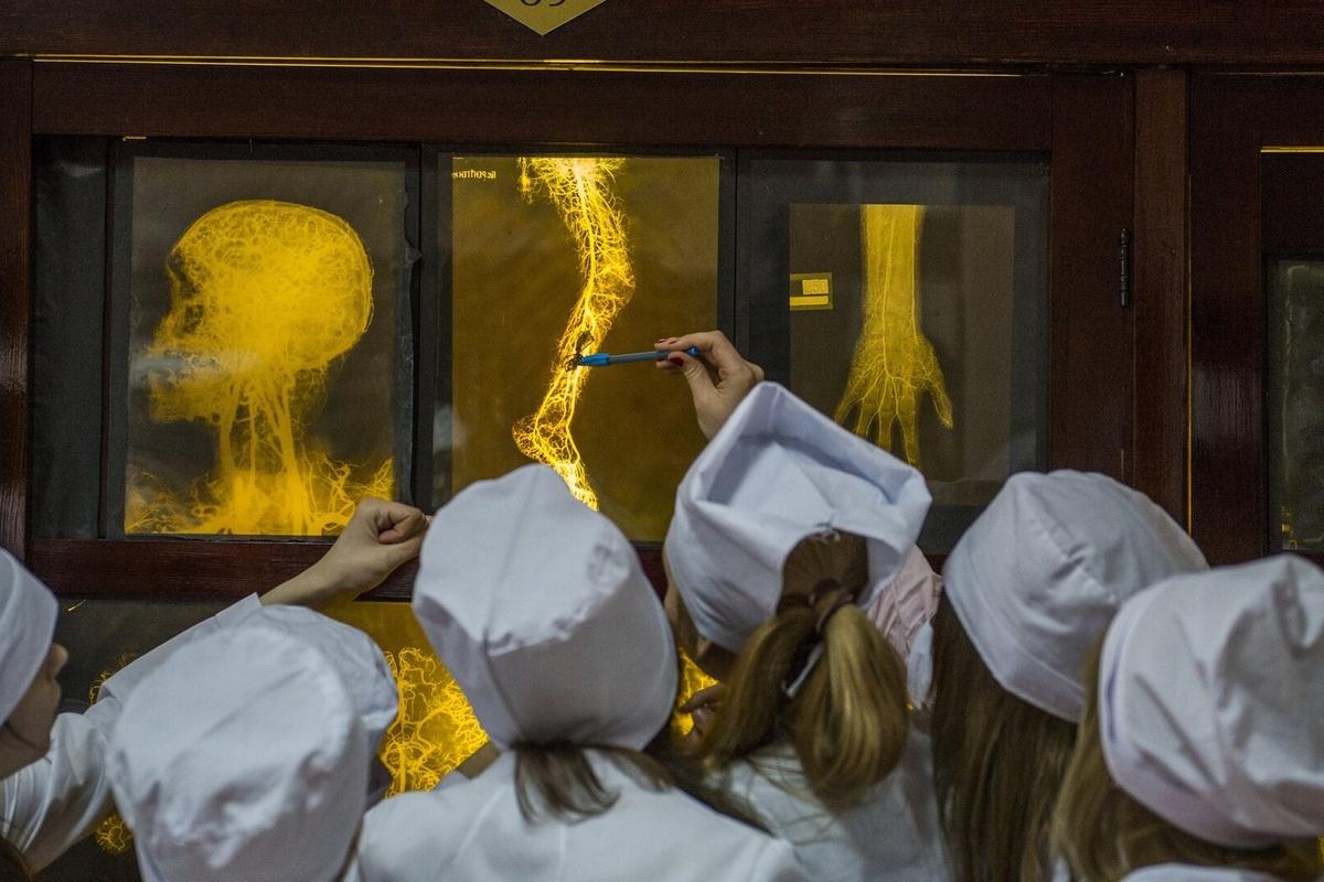 В Госдуме рассмотрят законопроект, который вводит денежные выплаты студентам-медикам