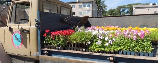 Тюменцев пригласили к участию в фестивале цветников