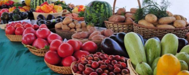Аграрии Волгоградской области уже собрали более 350 тысяч тонн овощей