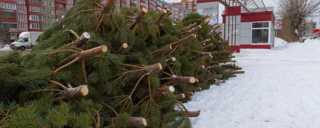 Жителей Чехова призывают сдавать новогодние елки на переработку