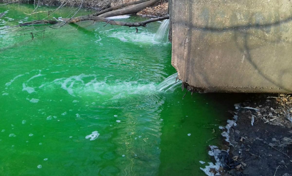 Во Владивостоке река окрасилась в ядовито-зеленый цвет