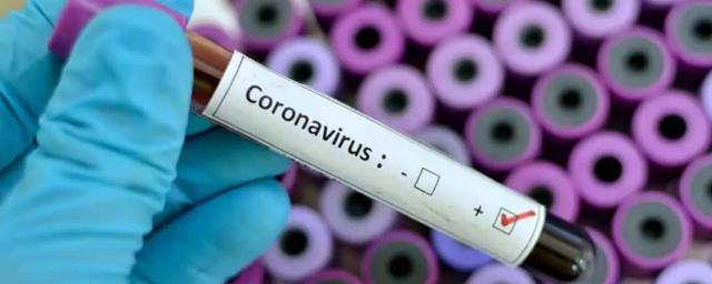 В Бурятии завели дело из-за фейка о сотнях заболевших коронавирусом