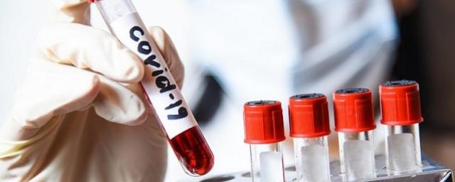 В Туве с начала года выявили 189 носителей коронавируса