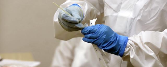 В Узбекистане за сутки выявили 241 новый случай заражения коронавирусом
