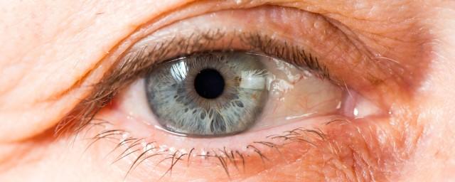 Терапия красным светом по утрам может улучшить слабеющее с возрастом зрение