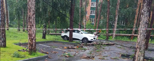 В Челябинской области из-за шторма повалило деревья под Чебаркулем