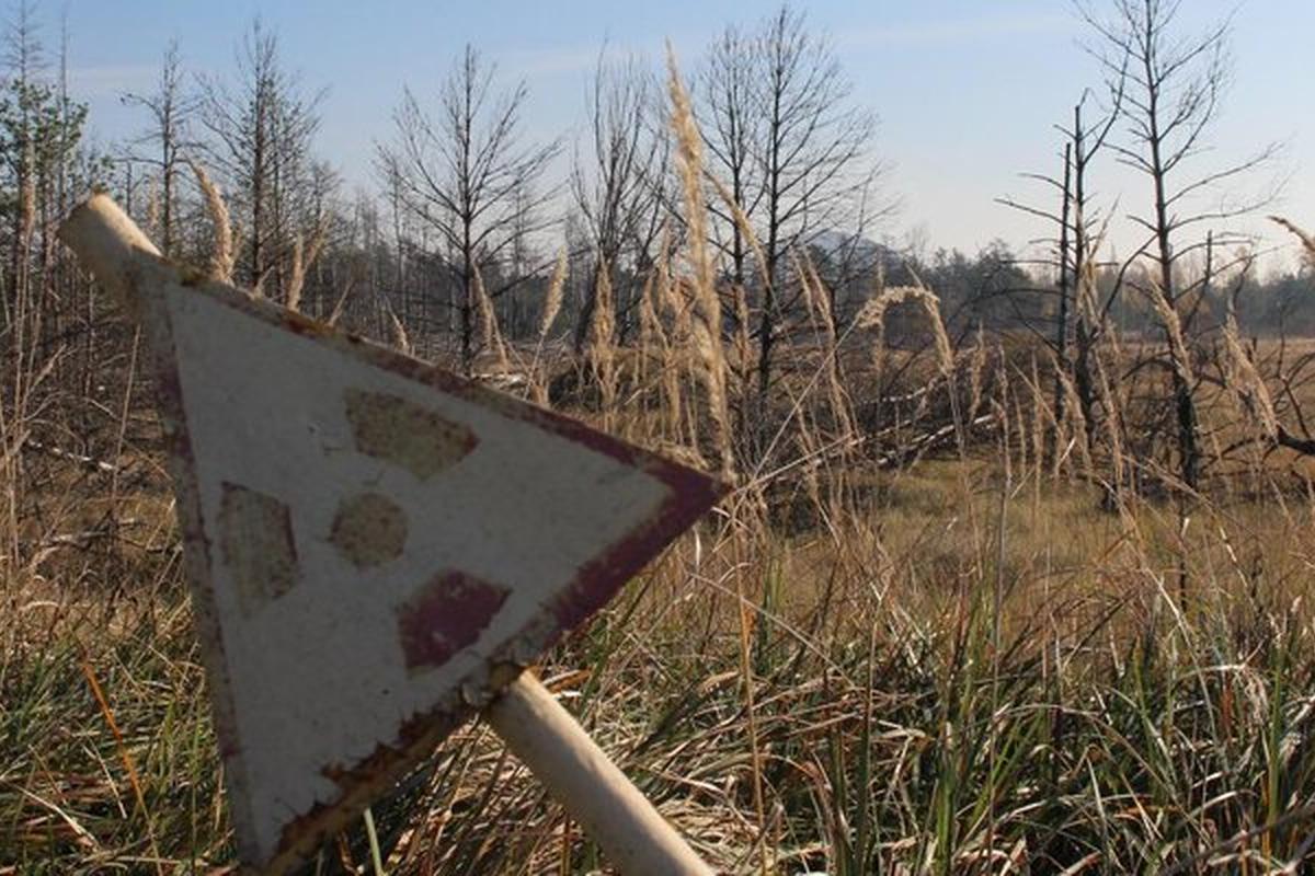 Рядом с хранилищем ядерных отходов в Удмуртии открыли новый вл бактерий