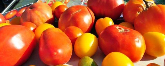 На симферопольском рынке «Привоз» изъяли непригодные томаты