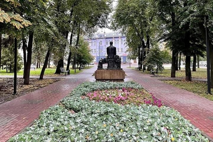 В Воронеже идет поиск подрядчика для высадки деревьев и цветов в сквере имени Бунина