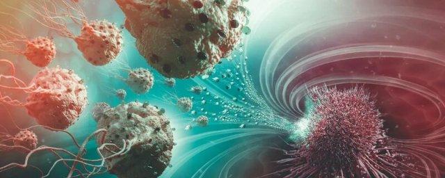 Ученые университета «Сириус» создают вирусы для уничтожения раковых клеток