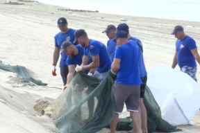 В Анапе за ненадобностью демонтируют сети с последних 5 км защитного вала пляжа
